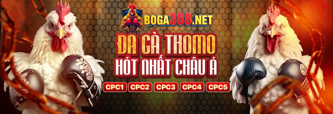 Sân đấu đá gà trực tuyến GD86 Casino